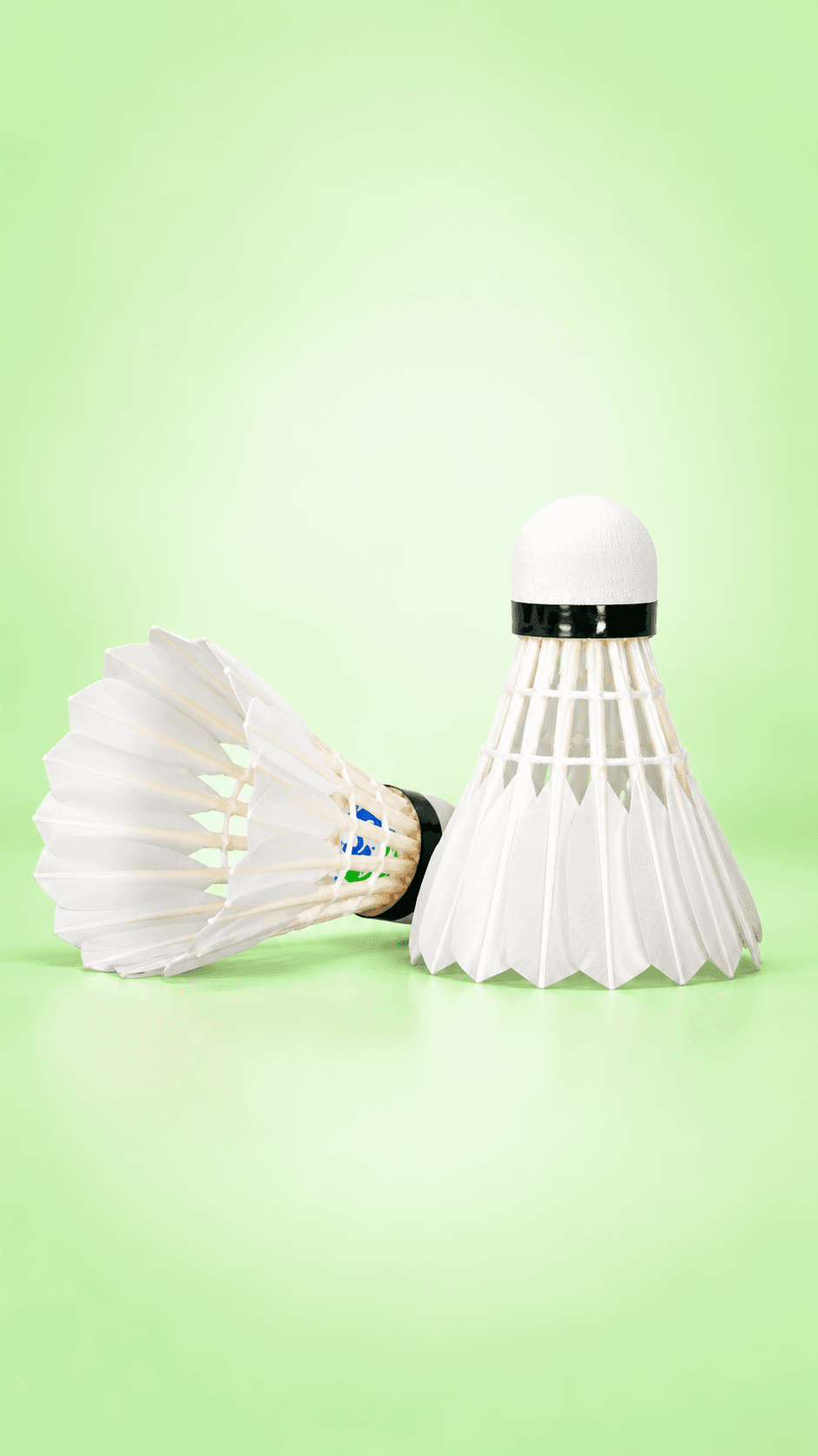 Badminton Shuttlecock